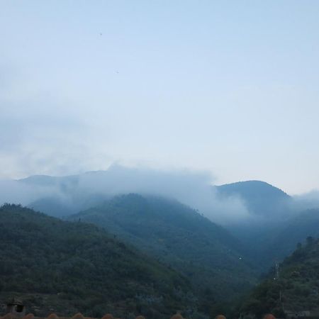 Rustic Liguria Villa Ceriana Kültér fotó