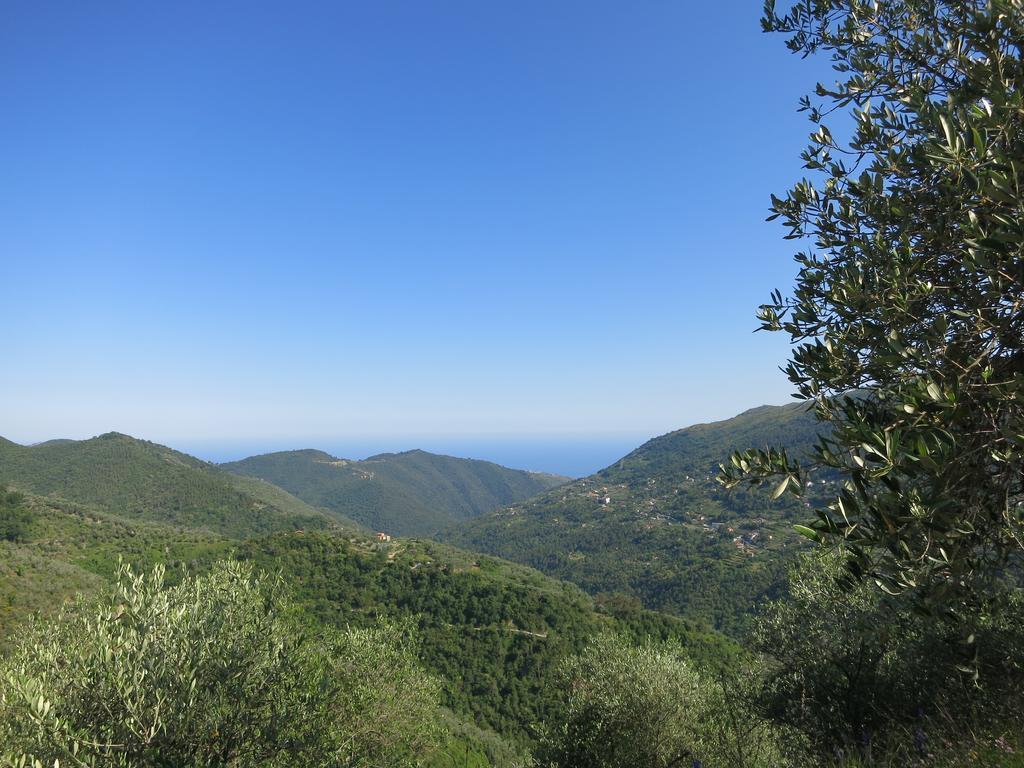Rustic Liguria Villa Ceriana Kültér fotó
